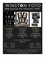 JOURNAL PACKAGES 2023 CALENDAR