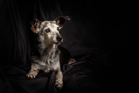 ABW_2314-Edit-Edit