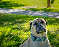 ABW_8552-Edit