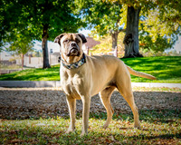 ABW_8568-Edit