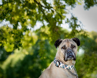 ABW_8540-Edit-3