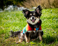 ABW_8720-Edit