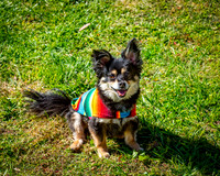 ABW_8719-Edit