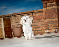 ABW_8291-Edit-1