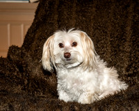 ABW_8373-Edit-1