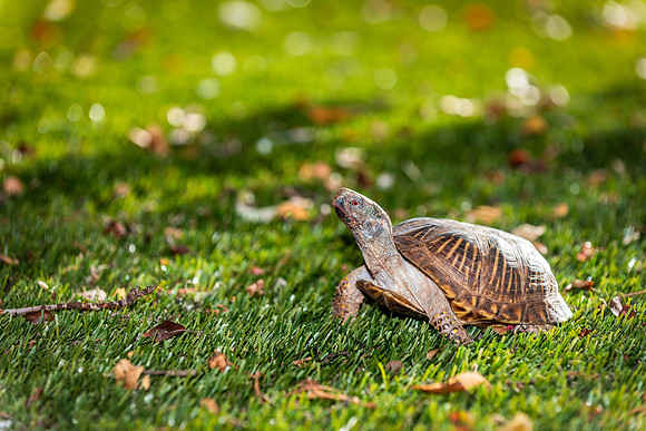 Steve-ABW_0292-Edit