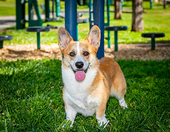 ABW_9648_Baxter