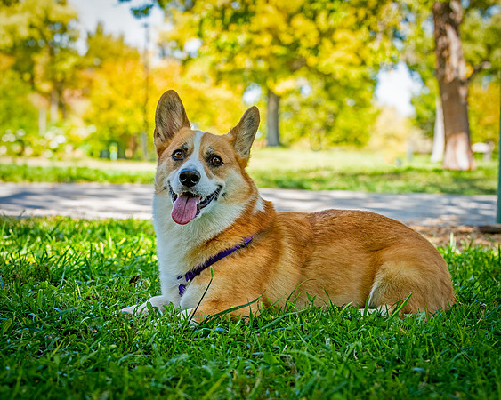 ABW_9714_Baxter