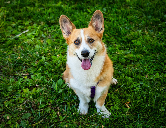 ABW_9692_Baxter