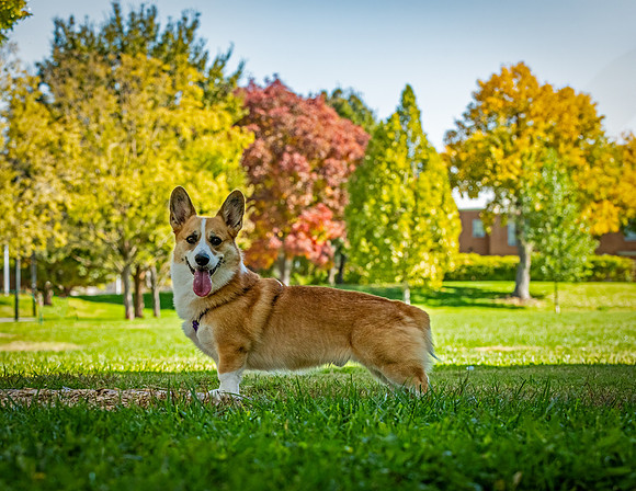 ABW_9659_Baxter