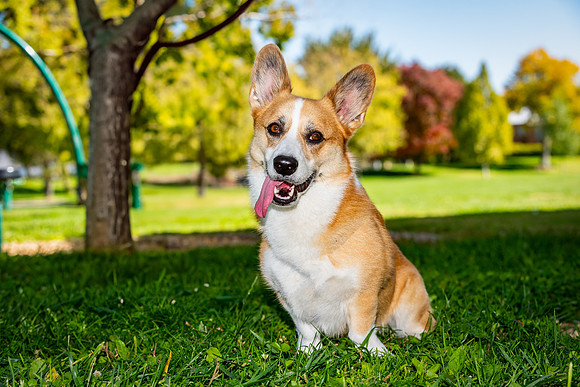 Baxter-ABW_9652-Edit