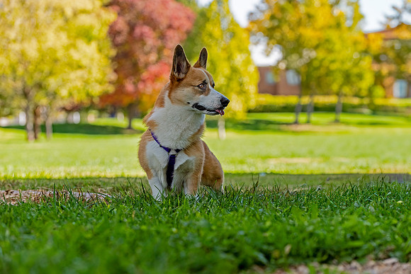 Baxter-ABW_9668-Edit
