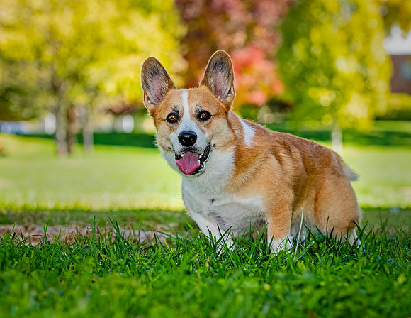 Baxter-ABW_9669-Edit