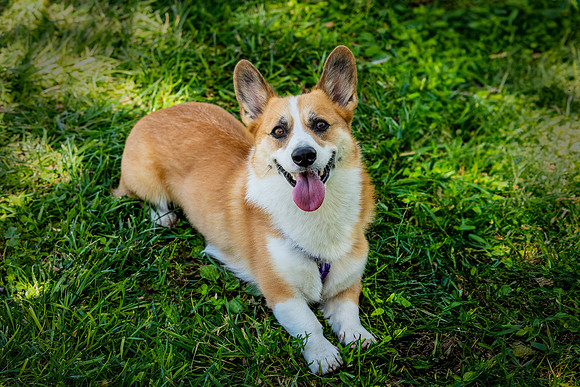 Baxter-ABW_9695-Edit