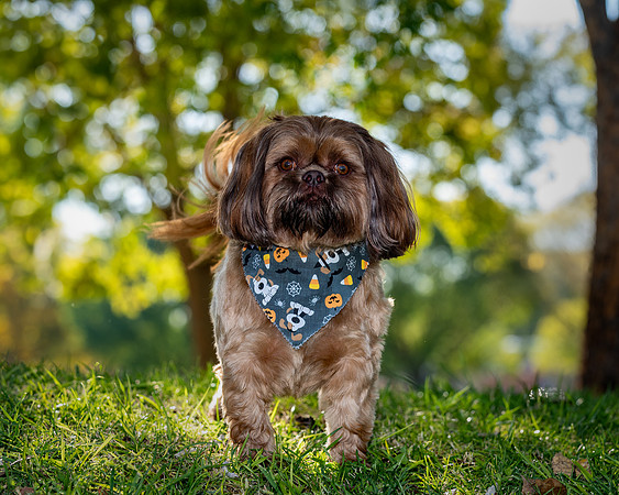 Spud-ABW_9153-Edit