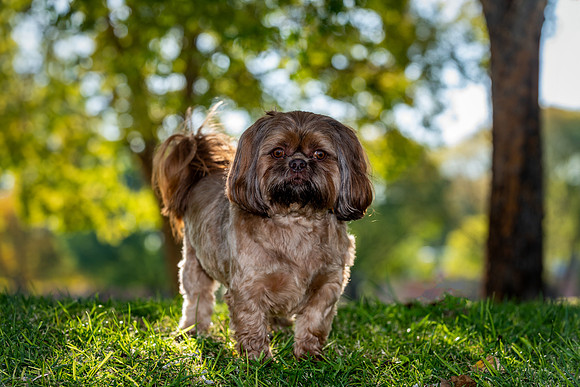 Spud-ABW_9138-Edit-Edit