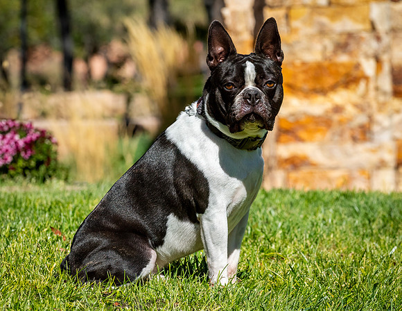 Winston-ABW_8772-Edit