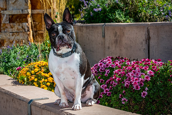 Winston-ABW_8743-Edit