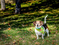 ABW_2034-Edit-Edit