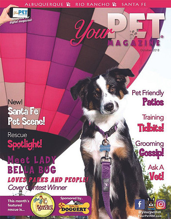yourpetmag