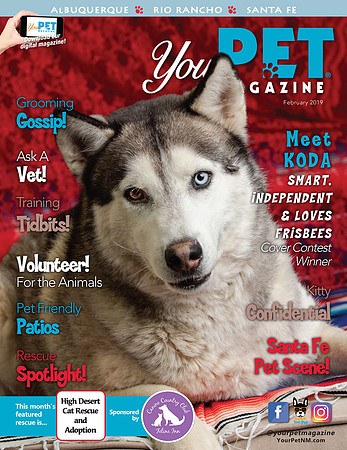Your-Pet-Magazine-February19