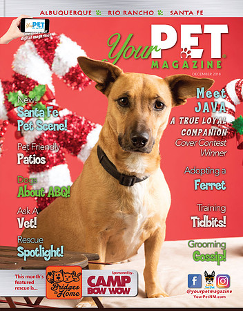 Your-Pet-Magazine-DEC18