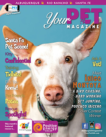 Your-Pet-Magazine-April-19