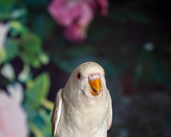 ABW_2588-Edit-Edit-2