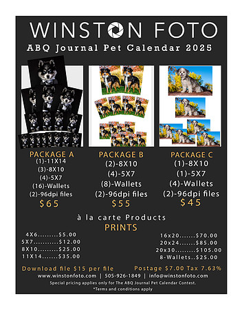 JOURNAL PACKAGES 2025 CALENDAR